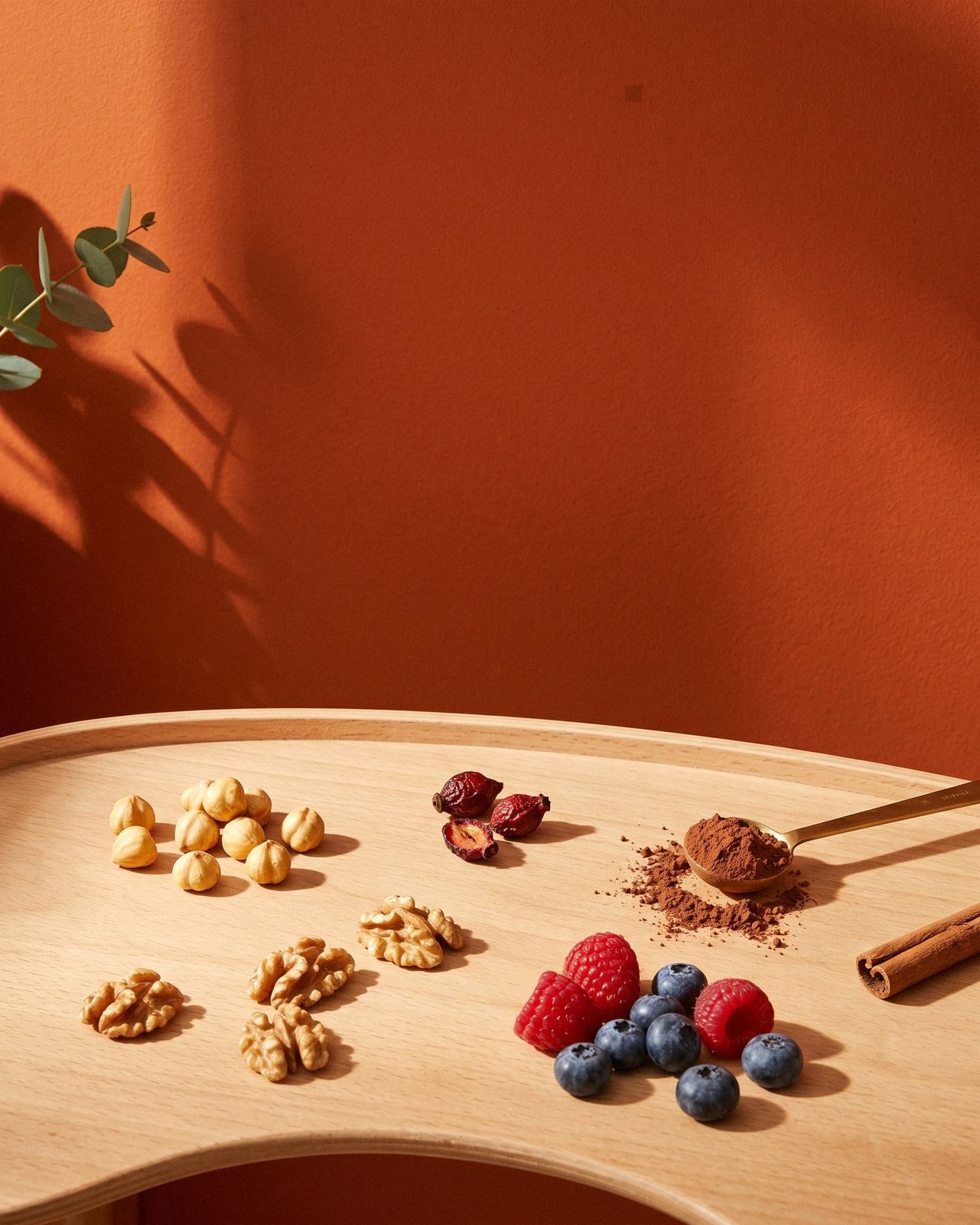 Mood-Bild mit Nüssen, Beeren und Rosehip auf Terracotta-Hintergrund